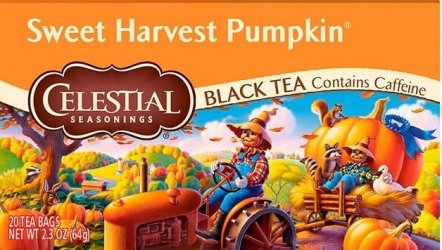 pumpkin-tea.jpg
