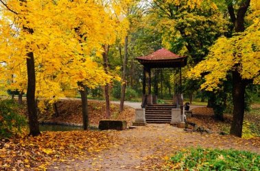 autumn-landscape-park-with-gazebo-cloudy-day-maples-with-yellow-leaves_209487-735.jpg