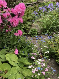 Garden 1.jpg