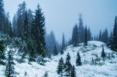 snowy-paradise-rich-leighton.jpg