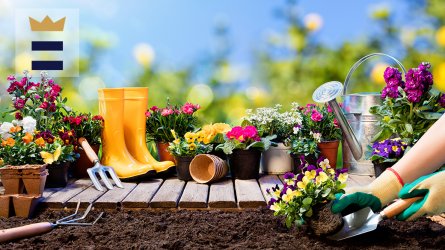 1040x585-2021-0324-what-do-you-need-to-for-spring-gardening-e3c4f1.jpg