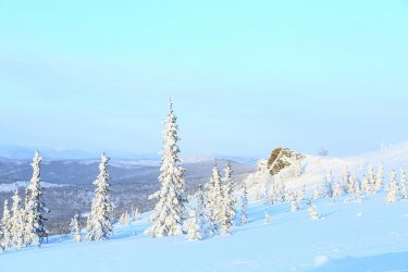 snow-scene-near-fairbanks-alaska-usa-stuart-westmorland.jpg