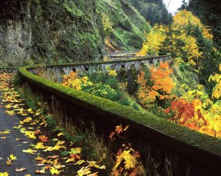 32-usa-oregon-columbia-river-gorge-jaynes-gallery.jpg