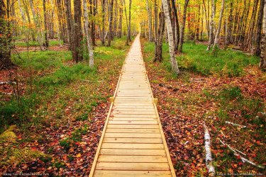 trail-9824.jpg