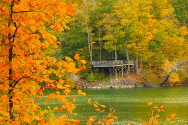 fall-foliage-caesar-creek-state-park-ohio-618758476-5acd232f1f4e13003c6a72be.jpg