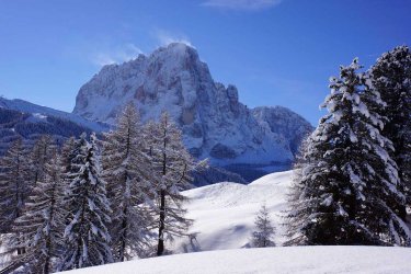 dolomites-sassolungo.jpg