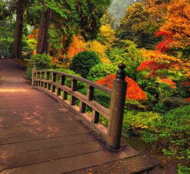 autumn-trees-colorful-red-green-orange-bridge-4k-wallpaper-2780x2560.jpeg
