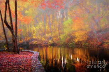 autumn-wonderland-mike-nellums.jpg