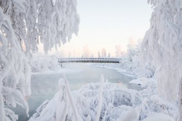 DYRLAND-Productions-Walking-bridge-in-Fairbanks-3927-2-2-940x626.jpg
