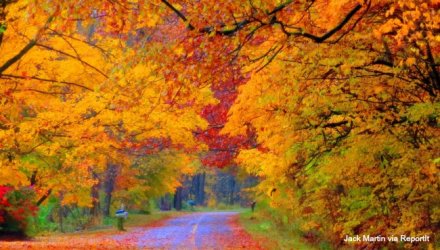fall-colors-jack-martin-near-new-richmond_35647028_ver1.0.jpg