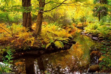 00 acadia-fall-118.jpg