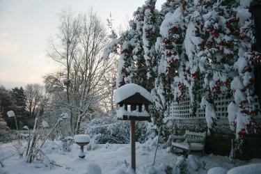 snowy-christmas-scene-henry-hemming.jpg