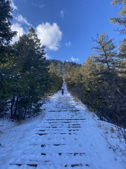 Welcome-Snow-Christmas-Tree-Scenic-Travel-Colorado-5866569.jpg