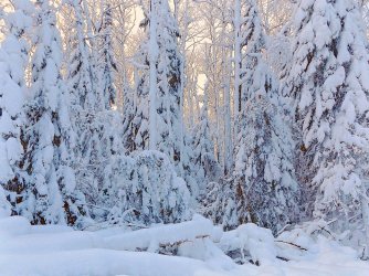 winter-1948127_960_720.jpg