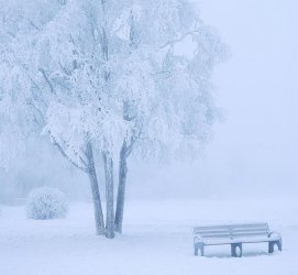 AK bench snow DSC_0012 SMALL.jpg