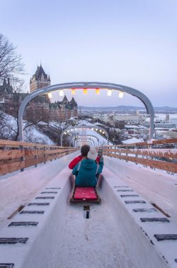 ice-slide-678x1024.jpg