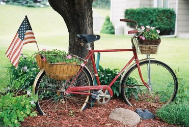 rustic-bike-with-flowers-and-flag-linda-mccormick.jpg
