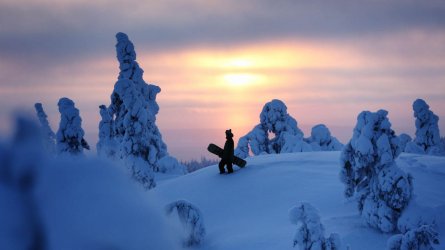 00 6e8d0d32-talvi_lautailija_tykkypuut_lapin-materiaalipankki_harritarvainen-1440x810.jpg