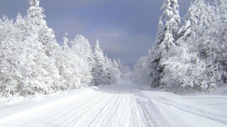 0 .snowmobiletrail.jpg