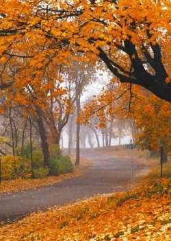 gorgeous-fall-color-tour.jpg