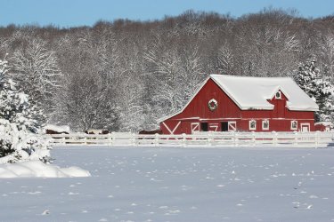 northern-michigan-country-winter-teresa-mcgill.jpg