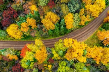 north-shore-roads-fall.jpg