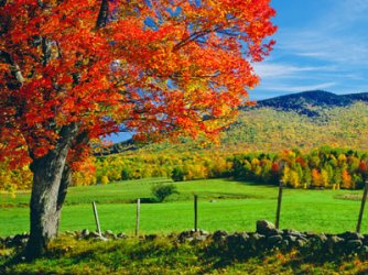 Seasons-and-Weather-Main.jpg