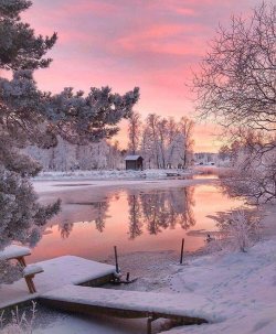 nature-aesthetic-we-heart-it-Favim.com-7917055.jpg