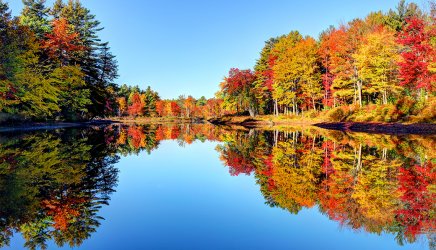 1140-fall-foliage-in-monadnock-region.jpg