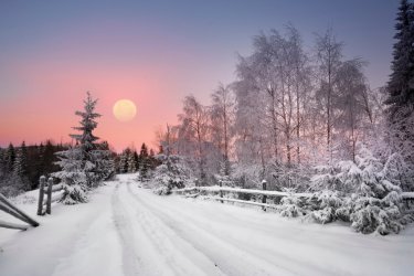 0 .Must-Have_Tips_for_Winter_Photography.jpg