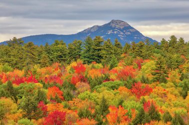 0 new-hampshire-white-mountains-fall-foliage-at-mount-chocorua-juergen-roth.jpg