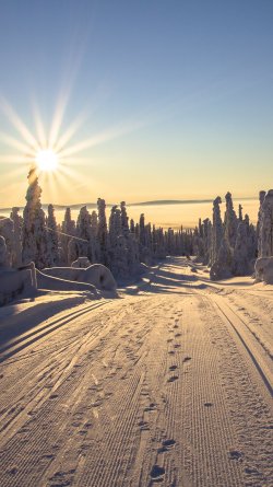 Finland_Lapland_region_Sunrises_and_sunsets_Roads_564860_1080x1920.jpg