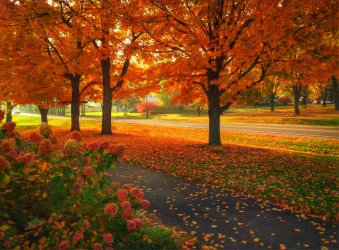 autumn-east-village.jpg