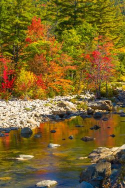 white-mountains-autumn-1505656062W4w.jpg