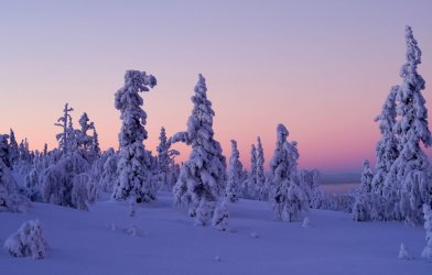 levi-lapland-finland-levi.jpg