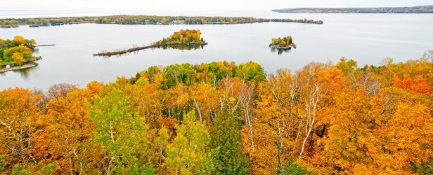 Fall-Colors-near-a-Lake-1500x609.jpg