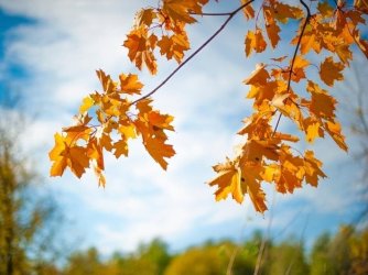 shutterstock-1196928463___24124949327.jpg