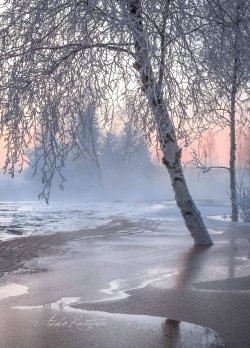 65c0ce67a8eff096802a12bfd5c69dbb.jpg