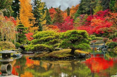 Seattle-fall-colors-940x624.jpg