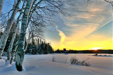 landscape-3858876_960_720.jpg