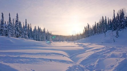 winter-sunset-mountains-taiga-snow-lest-russia-ray-sunshine-red-shade-137271899.jpg