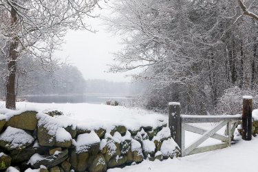 massachusetts-winter-scenery-juergen-roth.jpg