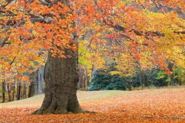 ThinkstockPhotos-153536345.jpg