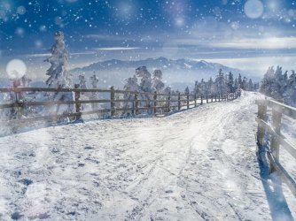 winter-snow-wonderland-landscape-christmas-scenic-background-falling-bokeh-soft-lights-trees-r...jpg