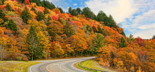 flickr-mountain-fall-foliage-roadway.jpg