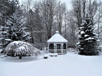 gazebo-3929883_1280.jpg