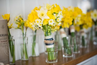 00 daffodils-table-decoration.jpg