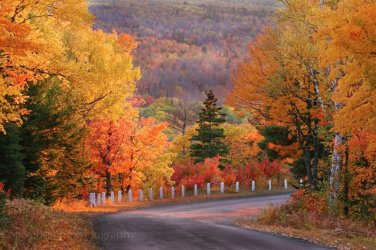 fall-bmt01_800.jpg