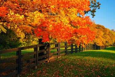 Lexington-KY-in-the-fall.jpg