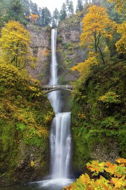 mufall-colors-at-multnomah-falls-david-gn.jpg